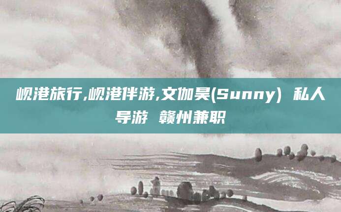 岳阳岘港旅行,岘港伴游,文伽昊(Sunny) 私人导游 赣州兼职