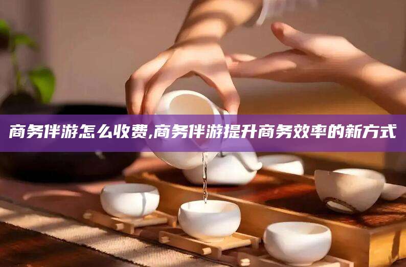 岳阳商务伴游怎么收费,商务伴游提升商务效率的新方式