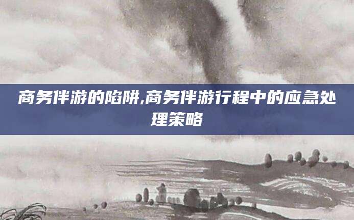岳阳商务伴游的陷阱,商务伴游行程中的应急处理策略